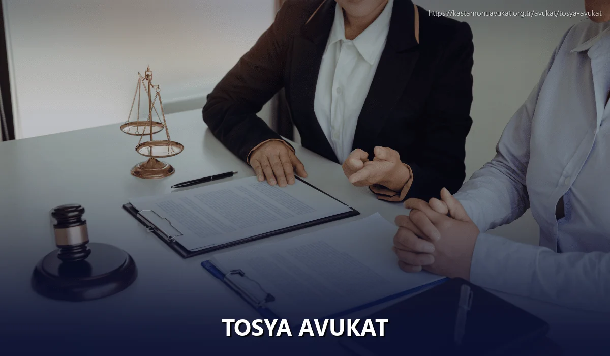 Tosya Avukat