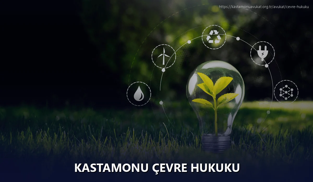 Kastamonu Çevre Hukuku
